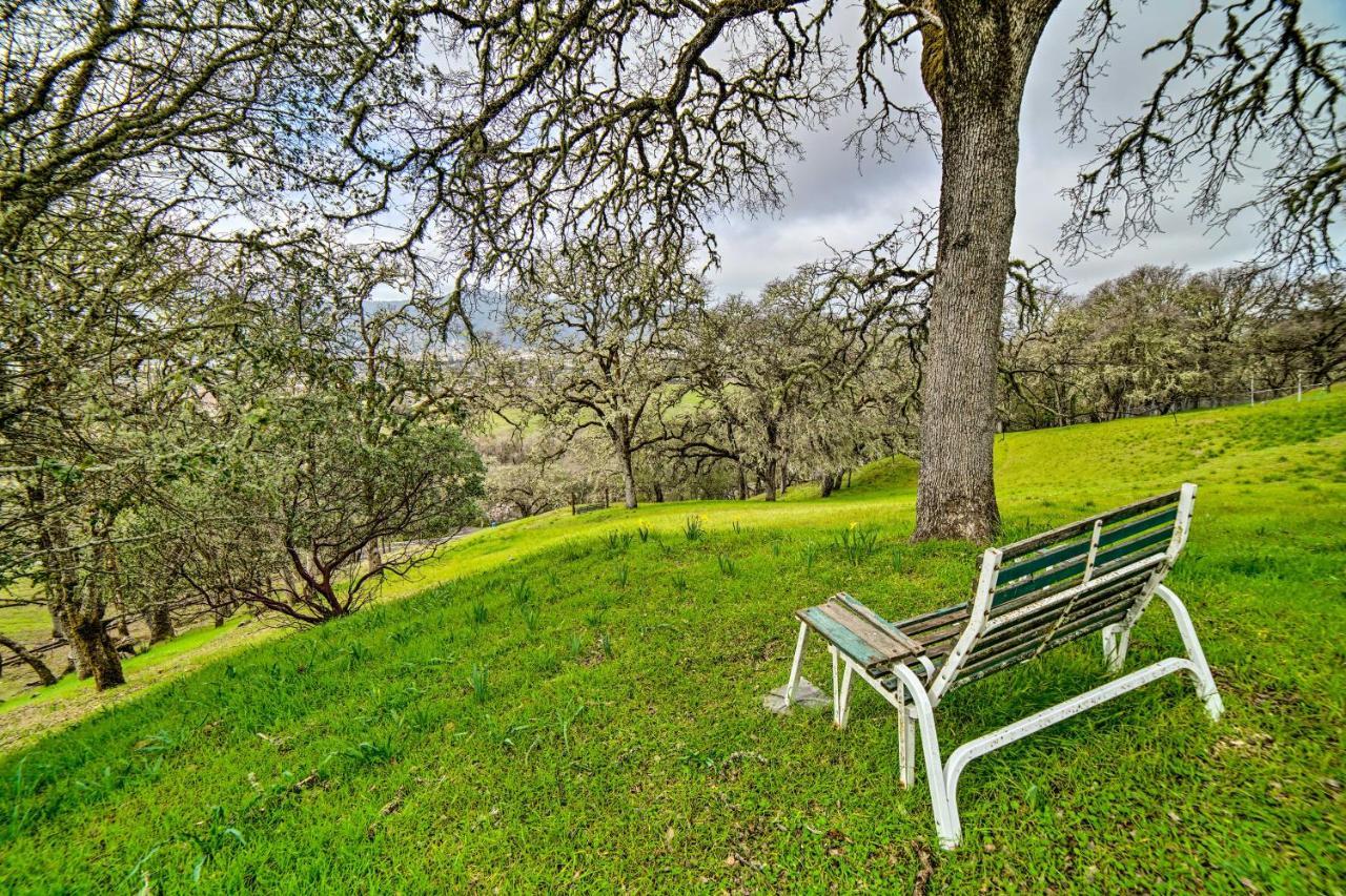 Hilltop Loft Ukiah Vacation Rental! 外观 照片